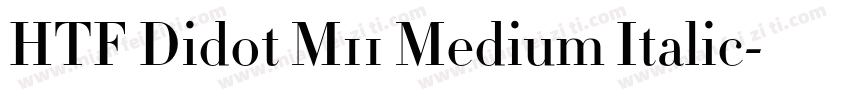 HTF Didot M11 Medium Italic字体转换